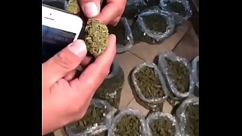 Weed packages